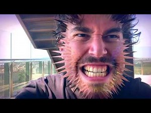 DeepAR FaceAR SDK - Demo Reel