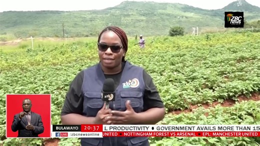 Main News 17/01/2026 | ZBC News Online