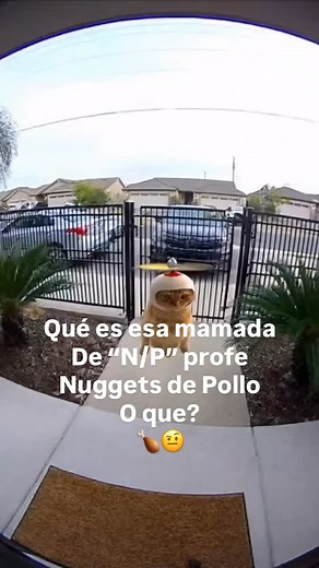 2.9K views | 3.5 no sube a 10 profe? ‍ #parati #escuela #examen #icsa #uacj | Erick | Facebook