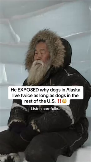 They don’t want you to know this… Here’s the secret solution they use 👇 amzn.to/3Lf0G4J #dogloversfeed #doglifestyle #doglife #doge #dogsofinstagram #dog #dogs #dogoftheday | The Paws Hub