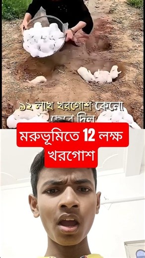 1.2 Million Rabbits in a Desert? #facts #animals #viral #bangla