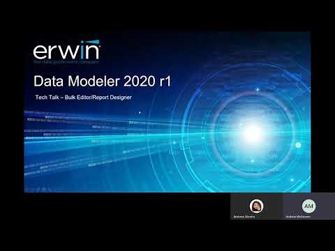 Bulk Editor Report Designer