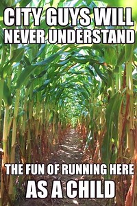 11M views · 143K shares | Farmers Life on Reels | Facebook