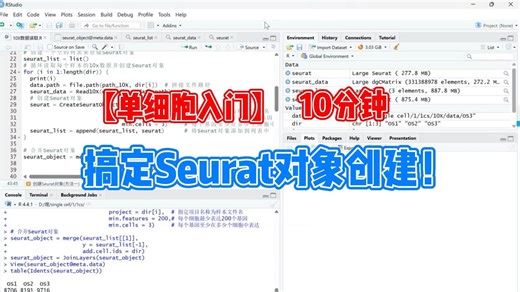 单细胞入门：1.数据读取和Seurat对象创建