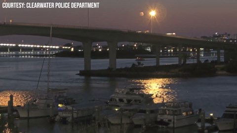 Clearwater Ferry crash: Jeffry Knight charged months after deadly incident