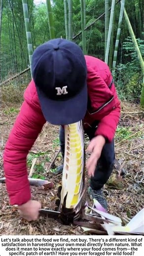 Revealing Spring's Treasure: Peeling Fresh Bamboo Shoots 🌿