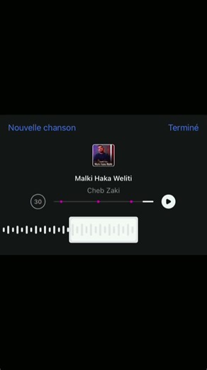 Cheb Zaki - Malki Hka Woliti ❤️ (Lyrics)