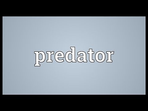 Predator Meaning