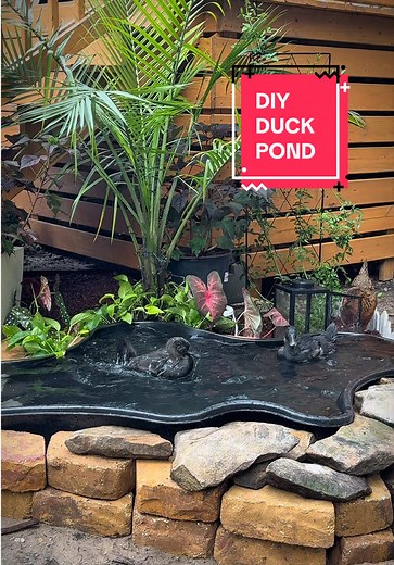 Impulsively Built a Duck Pond for 7 New Ducks