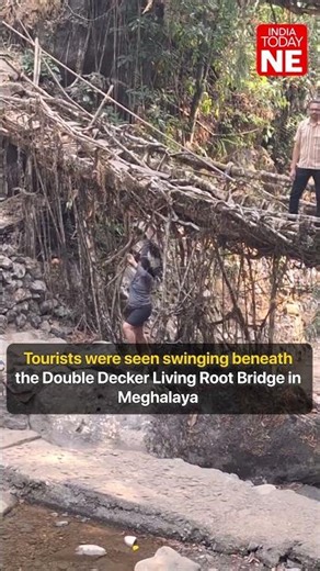 Tourists Swing From Meghalaya’s Double Decker Living Root Bridge, Raising Alarm Over Safety