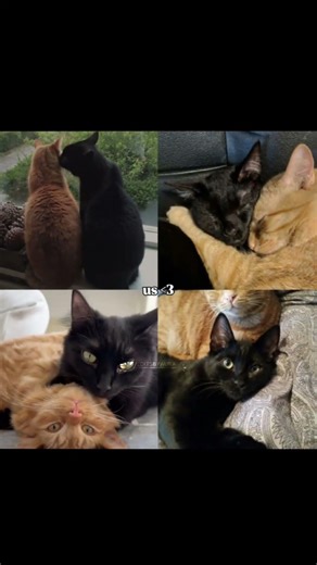 us 🫣💫 #viralvideos #trending #2025trending #aesthetic #edit #90saesthetic #aestheticshots