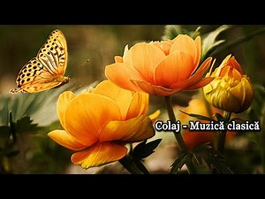 Muzică clasică la pian - Colaj l Piano classical music - Compilation l Stress relief, relaxing