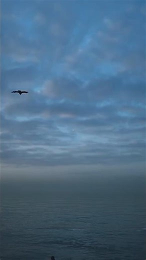 The Lightkeeper - Why bird bro gotta scare the crap outa me like that