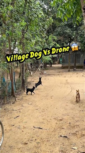 Drone Prank Turned Into a Dog Attack! 😱 #shorts #youtubeshorts #drone #prank #funny #comedy