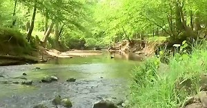 Anne Springs Close Greenway’s Earth Day celebrations