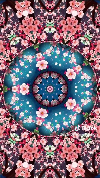 Mandala Meditation pe TikTok