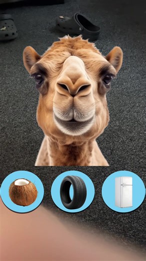 Mayson (@mayson5475)’s videos with original sound - Mayson