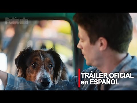 El Rescate de Ruby | Netflix | Tráiler Oficial en Español