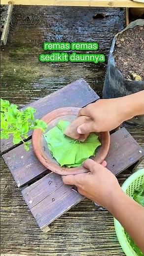 Plants to relieve toothache