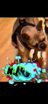 ROCK PAPER SCISSORS trailer 3