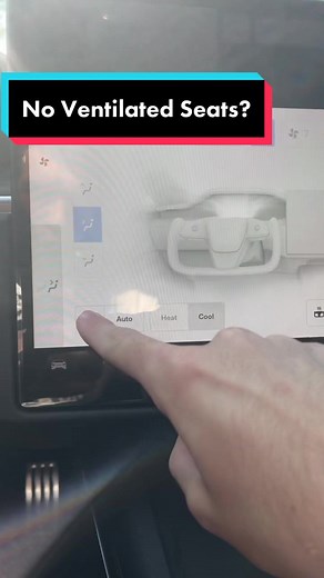 Brandon | Tesla Flex on TikTok