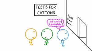 Tests for Cations