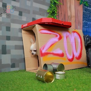 The Amazing Digital Circus | Troom Troom