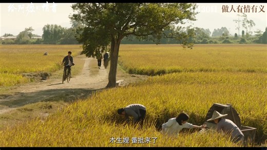 豆瓣9分口碑封神！年度最佳《给阿嬷的情书》新预告，预测票房涨至1.47亿