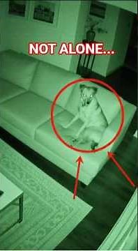 Security Camera Horror at 3 AM 😱 Caught on Camera | Jumpscare