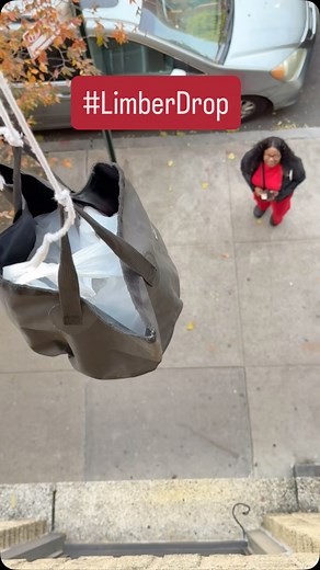 3.4K views · 59 reactions | Have you experienced the #LimberDrop  #limbers #limberplug #hellolimberlovers #limberlovers #thelimberplug | TheLimber Plug | Facebook