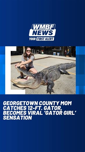 53K views · 388 reactions | When video of a massive alligator taking a ride through a McDonald’s drive-thru hit social media, jaws dropped across the Lowcountry. | WMBF News | Facebook