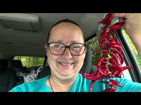 Preserving cayenne peppers for the winter quick and easy