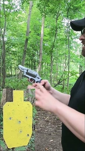 .45 Colt & .44 Special 255 gr Hard Cast from 25 Yards on Steel