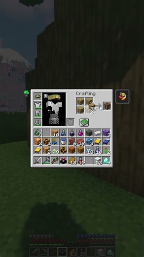 I added TERRARIA INTO MINECRAFT