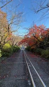 紅葉【宗忠神社】参道正面には真如堂（2025年12月5日）
