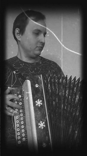 Тема из «Крёстного отца» на гармони — легендарная мелодия 🎩 #гармонь #accordion #instrumental
