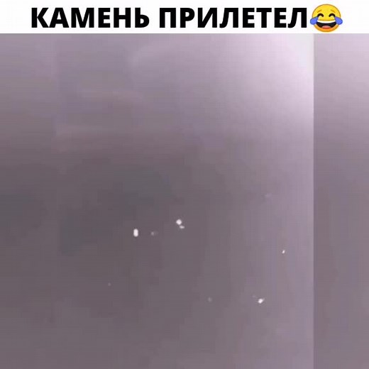 Identifying Insects on Dark Surfaces: A Guide