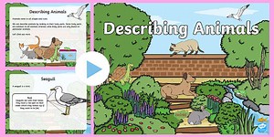 Describing Animals PowerPoint