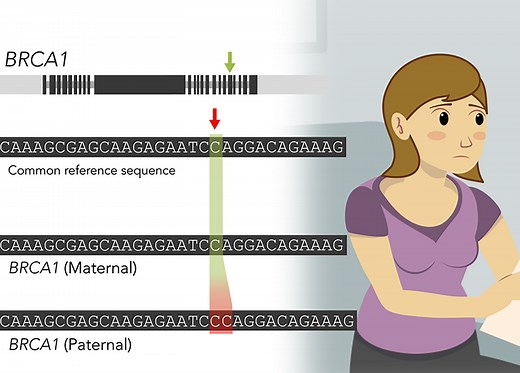 Genetics Fundamentals | Harvard Medical School Professional, Corporate, and Continuing Education