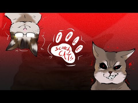 Scaredy Cat - WHAT THE SCARY? (CANCELLED)