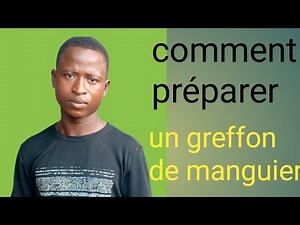 Comment préparer un greffon de manguier ?