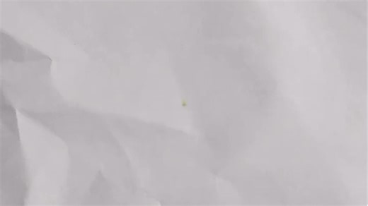 OPPO新款手机性能出众，潮流设计带来非凡体验，搭载先进影像系统与强劲续航，满足日常与创作需求，轻薄机身尽显时尚品味。