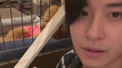 [whoya说晚安]2026年1月8日 鸡肉丸归来（翻译见简介）