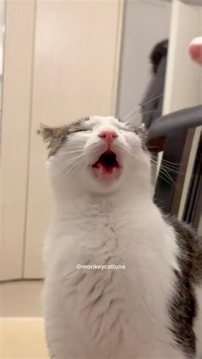 307K views · 20K reactions | Stay crunchy | Family's all | Facebook