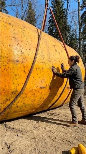 I built a marble interior in this Giant papaya