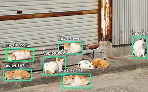[深度网路学习]用ImageAI来做物件辨识(Python)