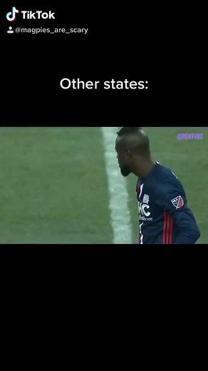 fecking magpies. on TikTok