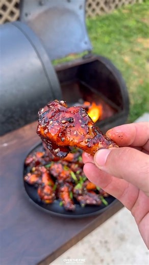89K views · 1.8K reactions | Hot Honey Chicken Wings | Over The Fire Cooking by Derek Wolf | Facebook