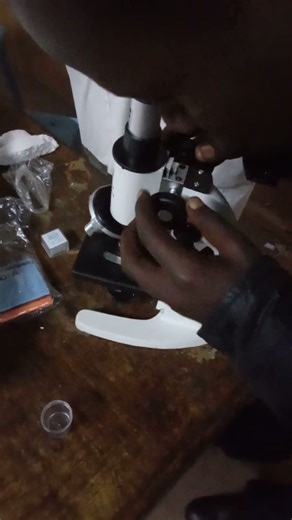 How Light Microscope Work Check It Out❤️❤️
