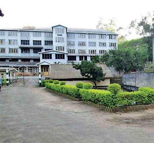 Planters call for ‘fair’ electricity tariffs to sustain industry | Daily FT